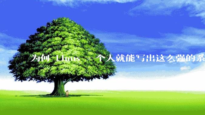 为何 Linus 一个人就能写出这么强的系统，中国却做不出来？